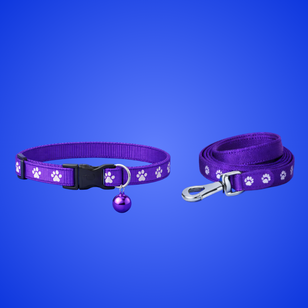 10 MM Printed Dog Puppy Nylon Leash Collar Set for Small Breed Dog