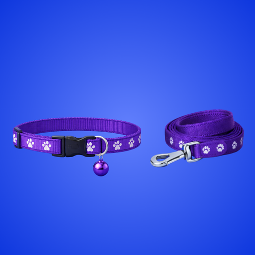 10 MM Printed Dog Puppy Nylon Leash Collar Set for Small Breed Dog